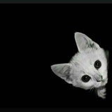 小丸子的吊带裙