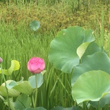 好好生活