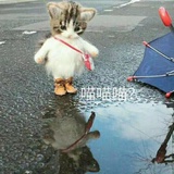 小可爱本人