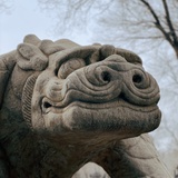 小姐姐