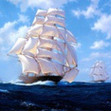 shoalshine