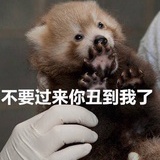没有故事