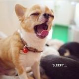 乌益达