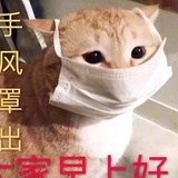 南国