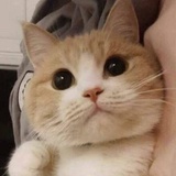 杂粮