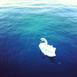 嘟噜嘟噜哒哒哒