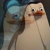 鱼头张