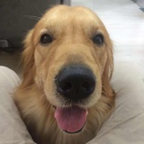 old man