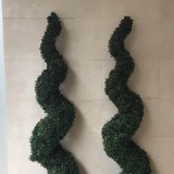 你说什么
