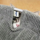 逃亡主义章北海