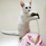 光