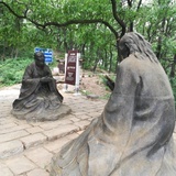 小马寻途