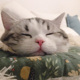 一叶oo