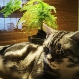 许涛