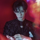 暴躁小黄鹂