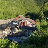 全世界种满香菜