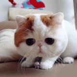 隔世的光