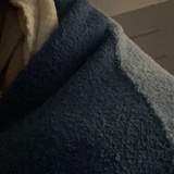 桦遇见