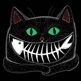 ㊣猫