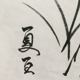 头毛泛油光
