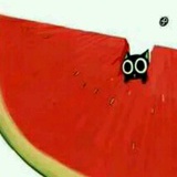 覓渡