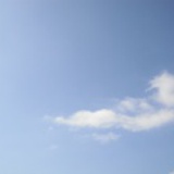 企鹅在北极