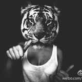 桐桐2604222146