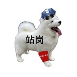 不懂爱太复杂了