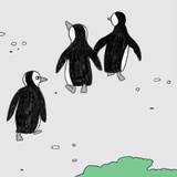 金小聪