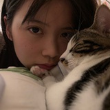 桃丽丝