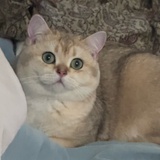小刘不动产