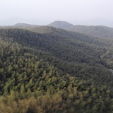 沉沦