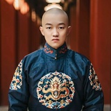 逆光鲸鱼