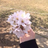 yunyiwf