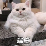 已注销