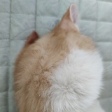 剩下的边角料