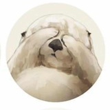 翠翠?