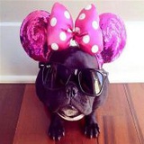 LuluWoooooo