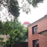 WuZhoNgLiN_