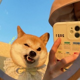 慌了神...