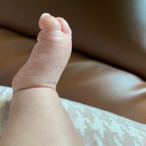 小丑卡在笼子里