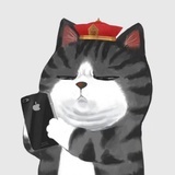 喵小霜