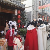王子豆不逗儿