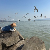 梁翔宁宁啦啦啦