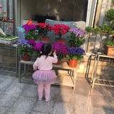 ritaly