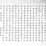 晒太阳的小松鼠