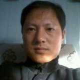 挣扎的松柏