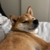小路漫漫