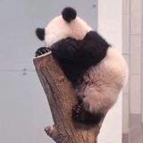 呼啦啦