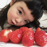 疑朵